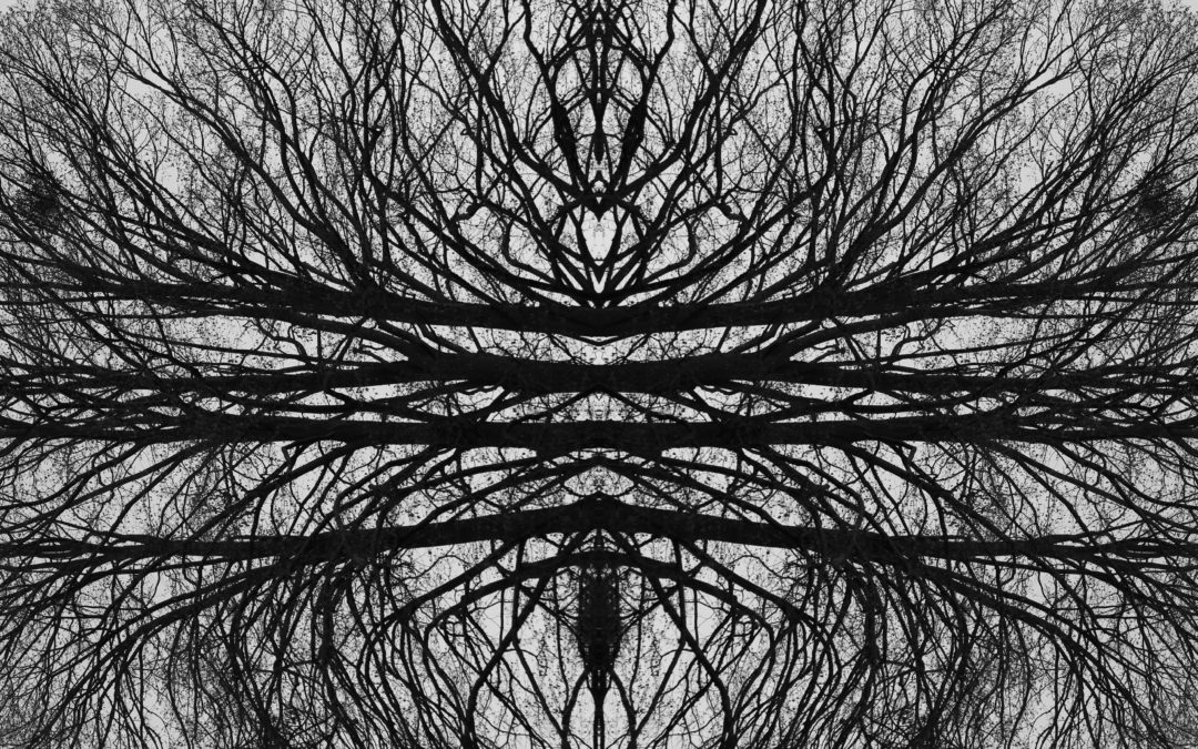 EMDR : retraiter le traumatisme