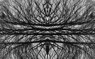 EMDR : retraiter le traumatisme